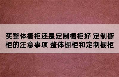 买整体橱柜还是定制橱柜好 定制橱柜的注意事项 整体橱柜和定制橱柜